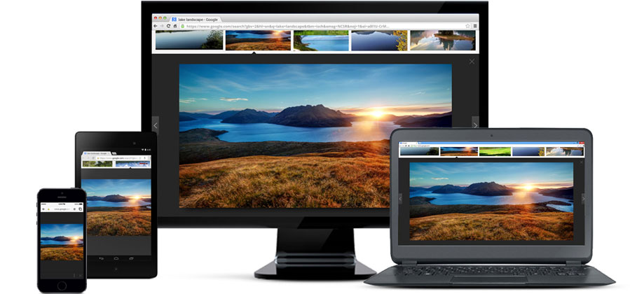 谷歌浏览器 Google Chrome 中文特别版