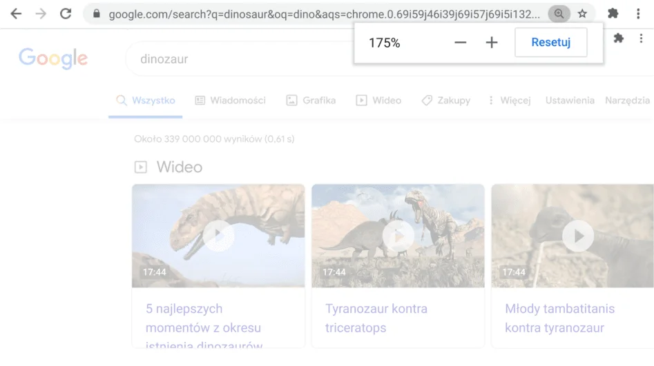Okno przeglądarki Chrome z otwartą stroną z aktywną funkcją Powiększ.