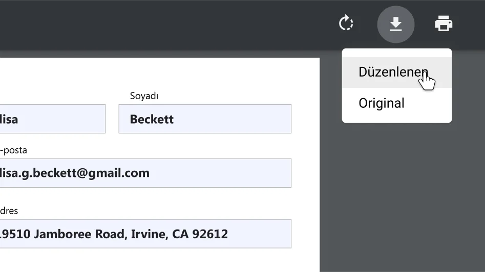 Yakınlaştırılmış indirme ve yazdırma seçenekleri menüsünün yer aldığı açık bir PDF dokümanıyla Chrome tarayıcı penceresi.